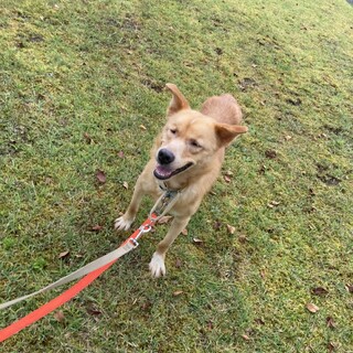 垂れ目がチャームポイントの愛叶夢くん