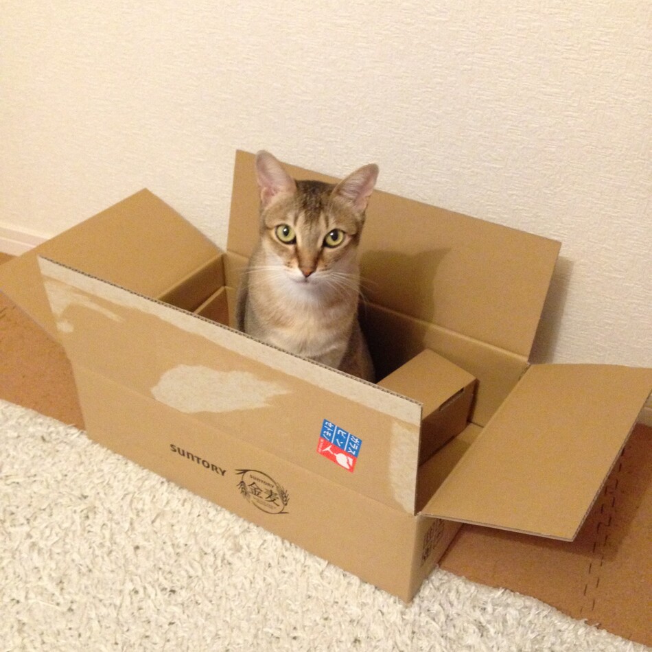 ハウリのカバー写真
