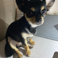 くう