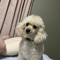 フリーザ