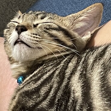 の写真