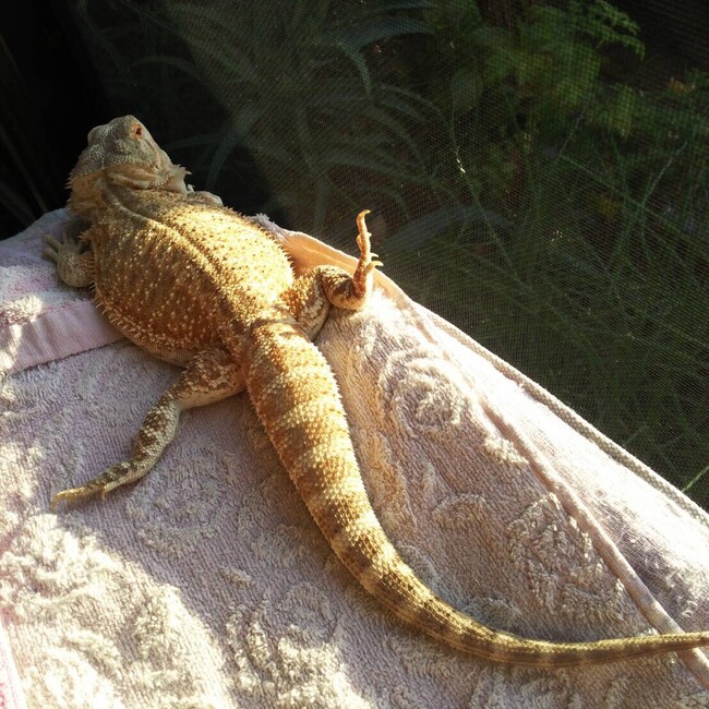まゆかんのカバー写真
