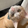 こんにちわ