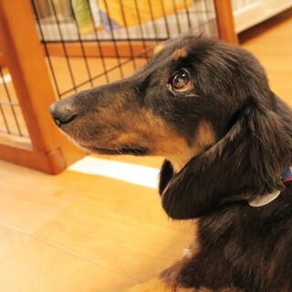 ちょっとシャイだけどいつも元気いっぱい！かなたくん