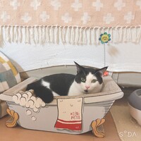 オレオ