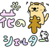 花の木シェルター（保護活動者）