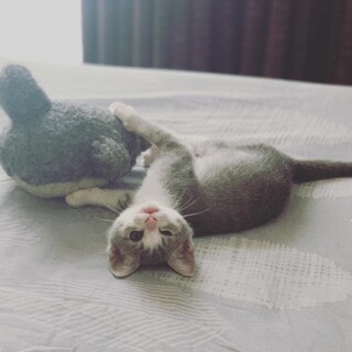 パステルの可愛い女の子　京香ちゃん