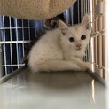 つぶらな瞳が可愛い男の子♪