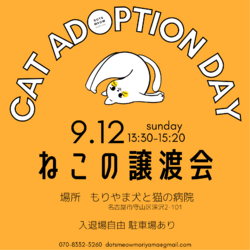 ◌名古屋市守山区◌猫の譲渡会