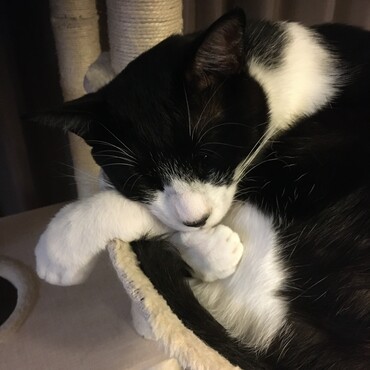 眠たい☺︎