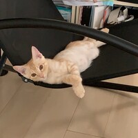 もか
