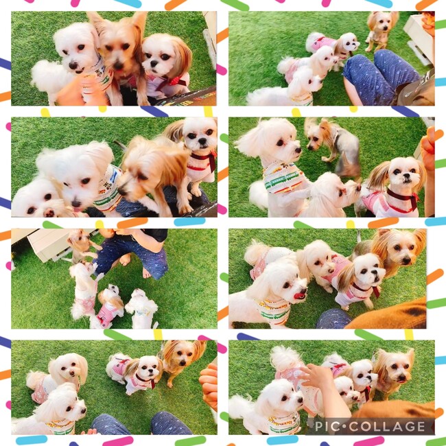 みぃ18のカバー写真