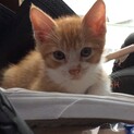 家族が見つかりました。