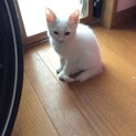 家族が見つかりました