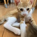 抱っこ大好き♡たーくん