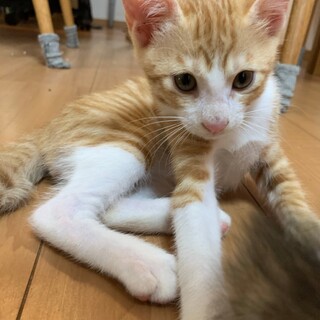 抱っこ大好き♡たーくん