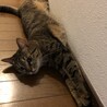 アモちゃん‼︎
