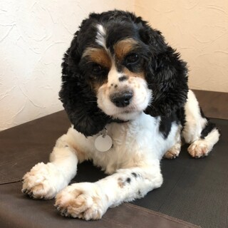 少しずつ慣れていくね、ゆっくり見守ってホルちゃん