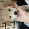 エル君里親様決定！