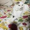 の写真