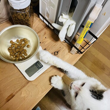 食いしん坊