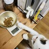 食いしん坊