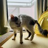 パトロール中