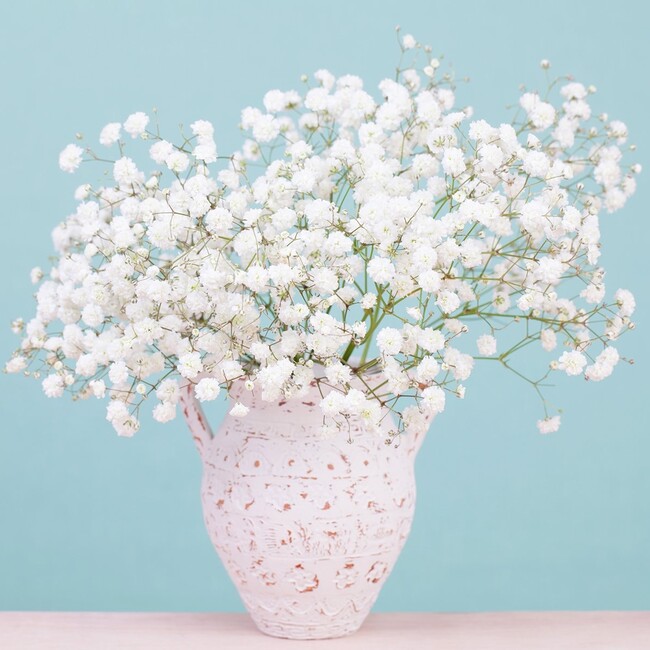 りー.のカバー写真