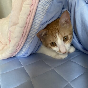 の写真