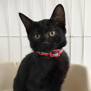 10/2 Terra里親会に参加❣️