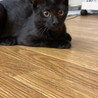 の写真