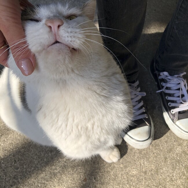 greenlemonのカバー写真