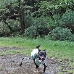 「雨のち晴れのち」サムネイル1