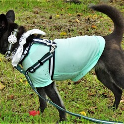 「雨のち晴れのち」サムネイル2