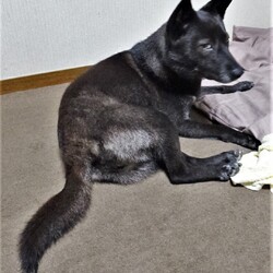 「雨のち晴れのち」サムネイル3