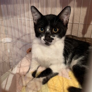 やんちゃ坊主・りゅーと