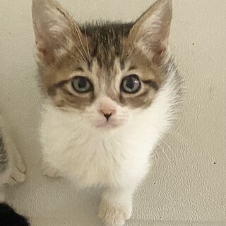 9/11Terra里親会に参加❣️