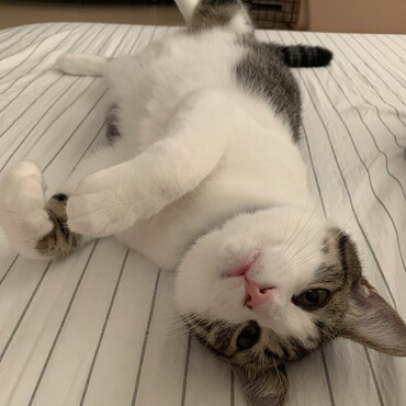 の写真