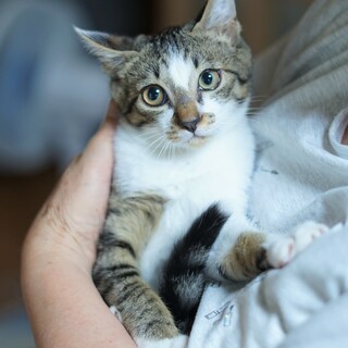 口角下がっているよ！そこがかわいい