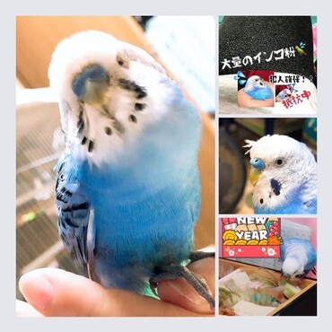の写真