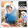 の写真