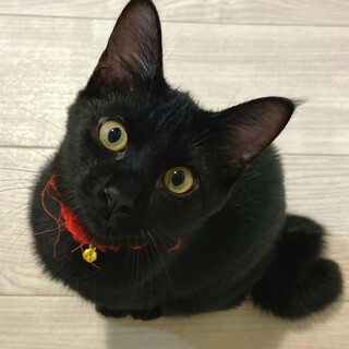 【8/22東日本橋】とってもフレンドリー♡みさ♡