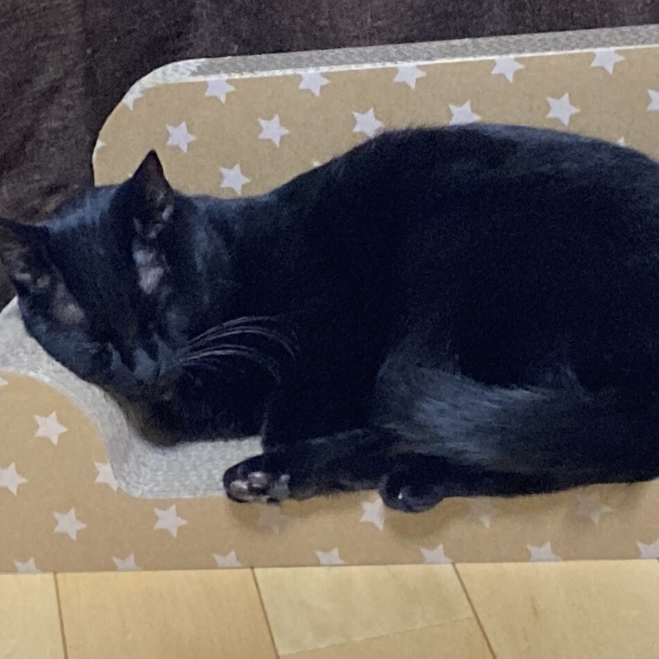 うなぎのカバー写真