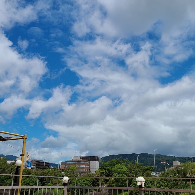 アミ0613のカバー写真