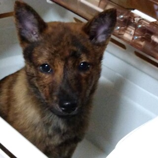 多数お問い合わせ頂いたので締め切ります