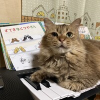 ムギ