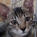 やんちゃでおちゃめな男の子、みのりです。