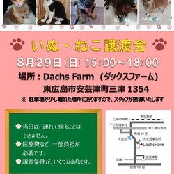 保護犬猫譲渡会