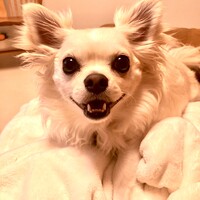 ちくわ