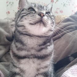 「ラムくん」サムネイル2